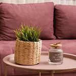 Apartment Urban *